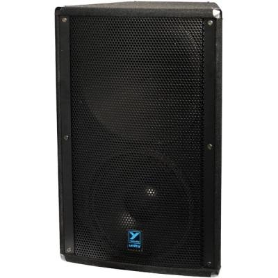 image 1 U15P Unity Series Powered Loudspeaker - 15 inch / Unity Horn - 1000 Watts