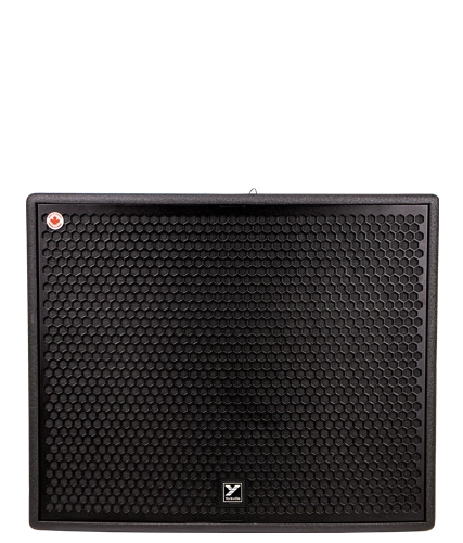 Paraline speaker image